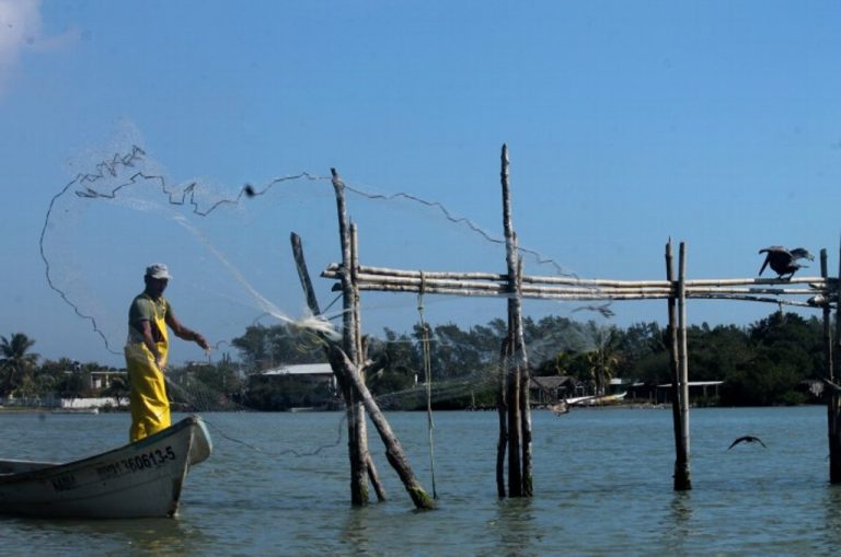 Flota de pescadores en Alvarado, Veracruz está parada por falta de pesca