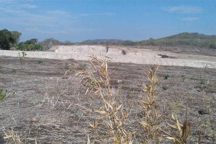 Arrasa sequía con campos del norte en Actopan y Alto Lucero