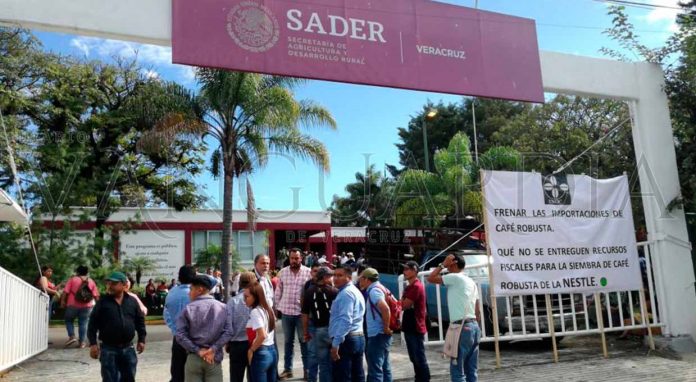 Cafetaleros se manifiestan afuera de Sader Veracruz