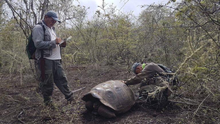 Recogen 8.3 toneladas de basura en cinco islas de Galápagos