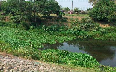 Baja cauce del Jamapa, alerta por estiaje histórico en conurbación