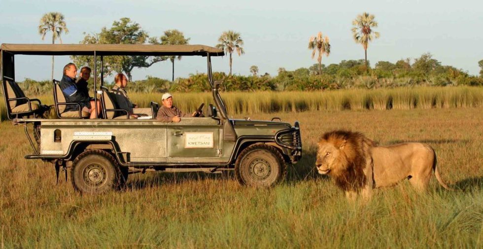 Si te apasiona la naturaleza, Botswana, un mágico destino africano