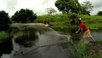 Río Calzadas se tragó a pescador de la Teresa Morales