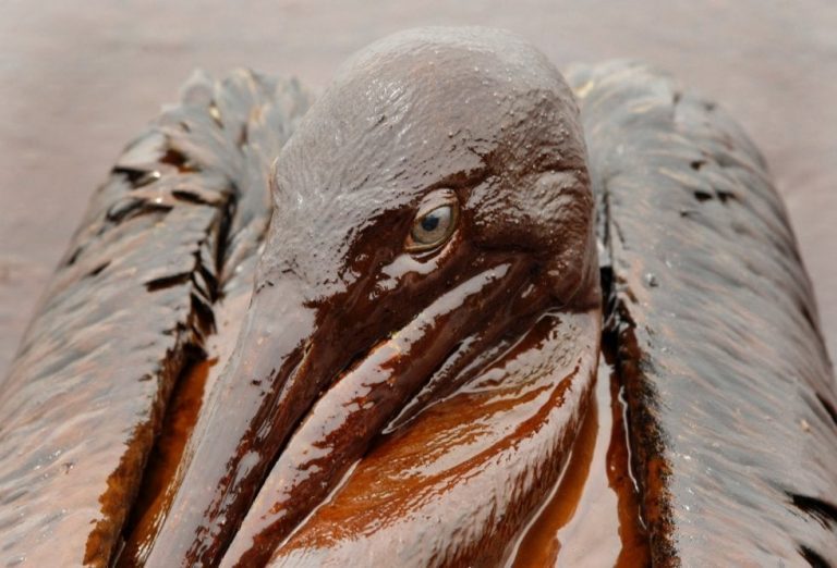 A 10 años de la explosión de la plataforma Deepwater Horizon