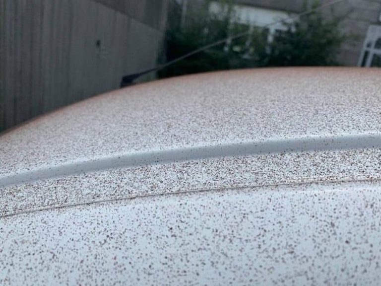 Gran sorpresa se llevan en Suiza, les cae una nevada de polvo de cacao