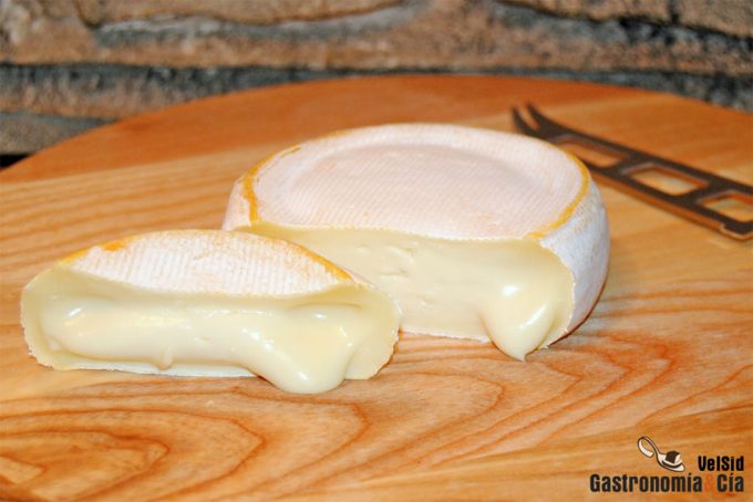¿Qué es el olor del queso? Simplemente bacterias y hongos que ‘se comunican’