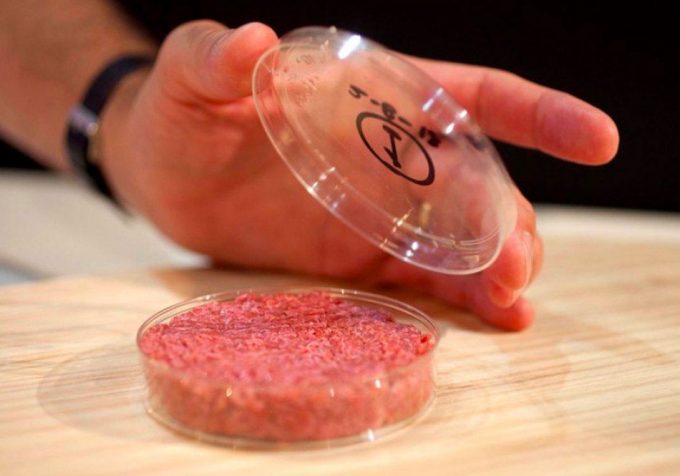 ¿La carne de cultivo celular es comercialmente viable a escala industrial?