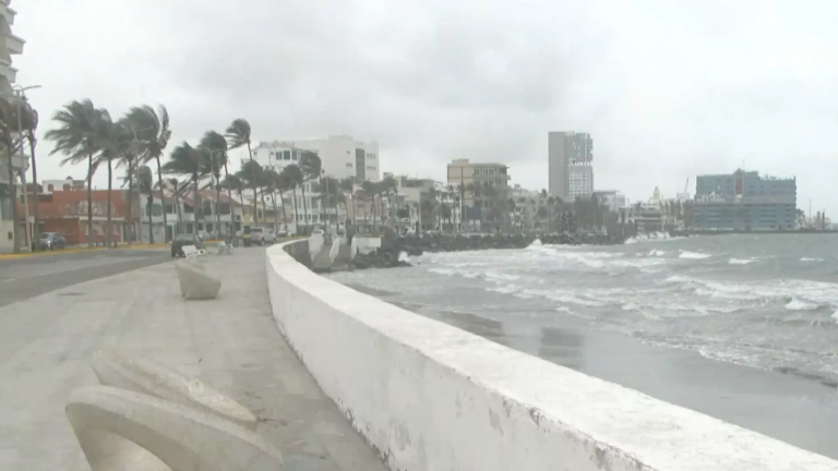 norte-en-veracruz-el-clarin-veracruzano.